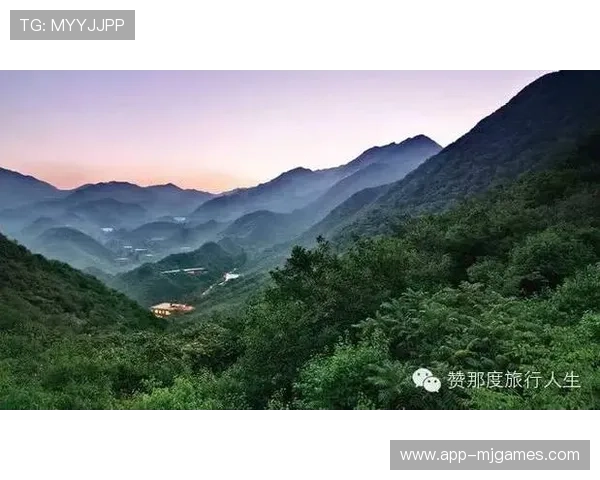 张洪斌谈密云夺冠:篮球特色区建设培育冠军土壤 张洪斌谈密云夺冠:篮球特色区建设培育冠军土壤